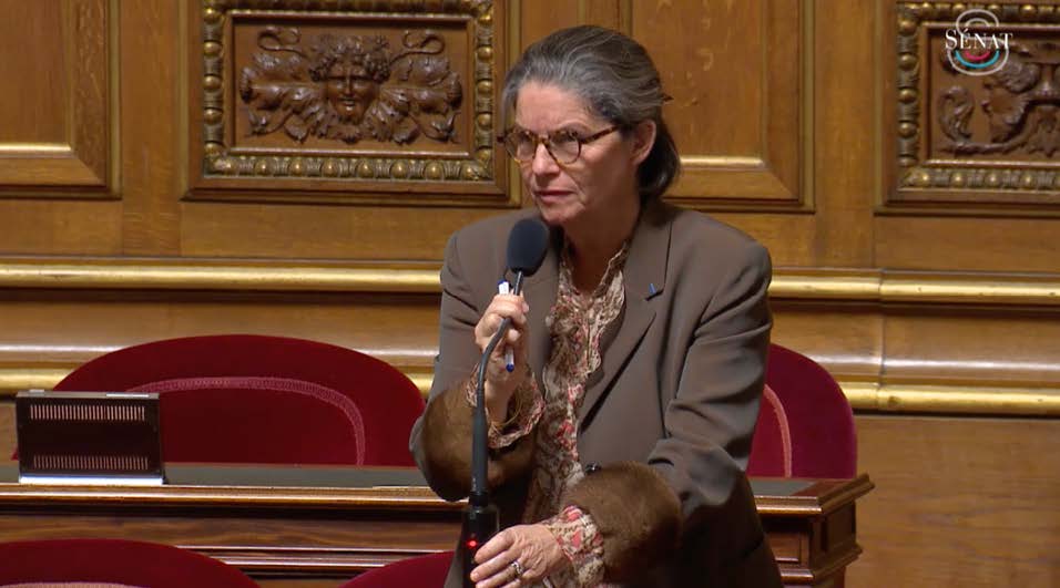 L’interview de Pauline Martin