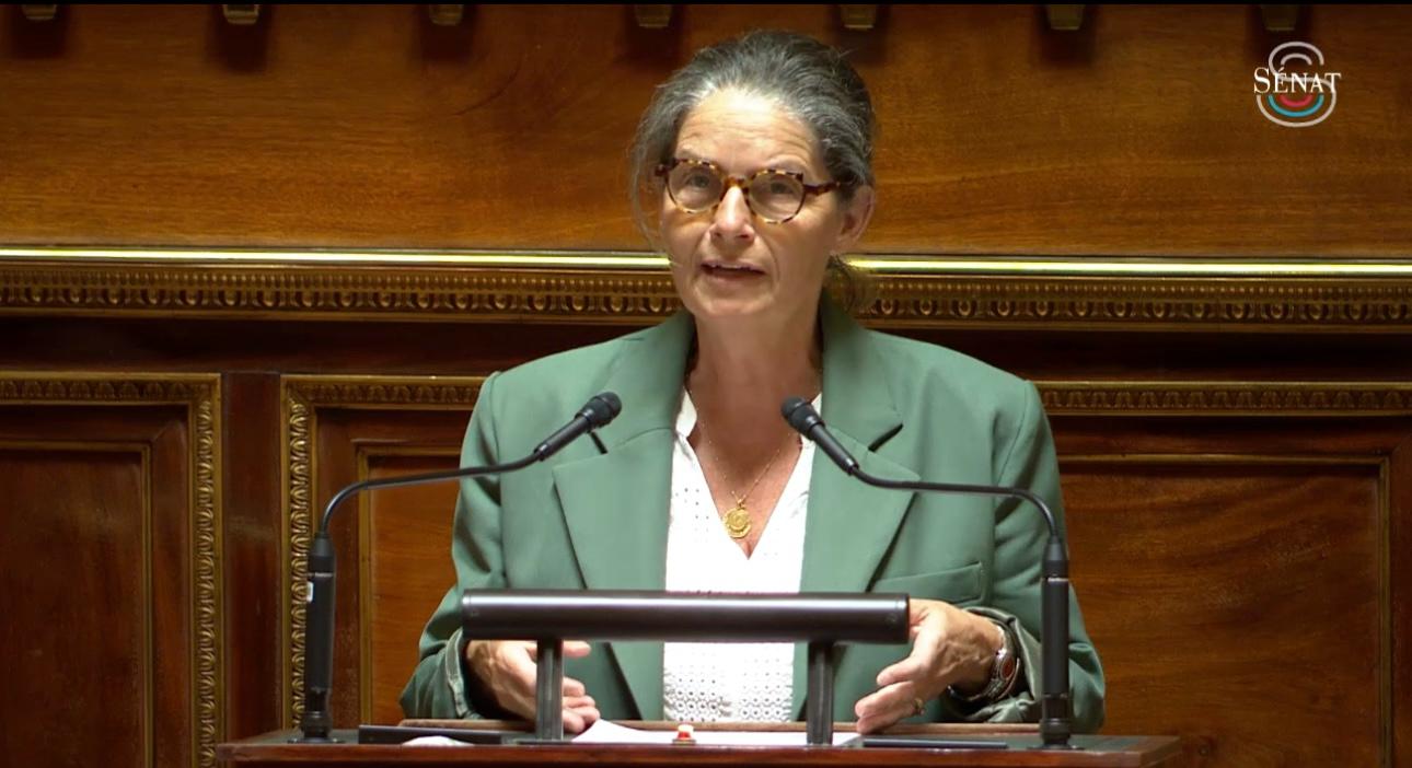 L’interview de Pauline Martin