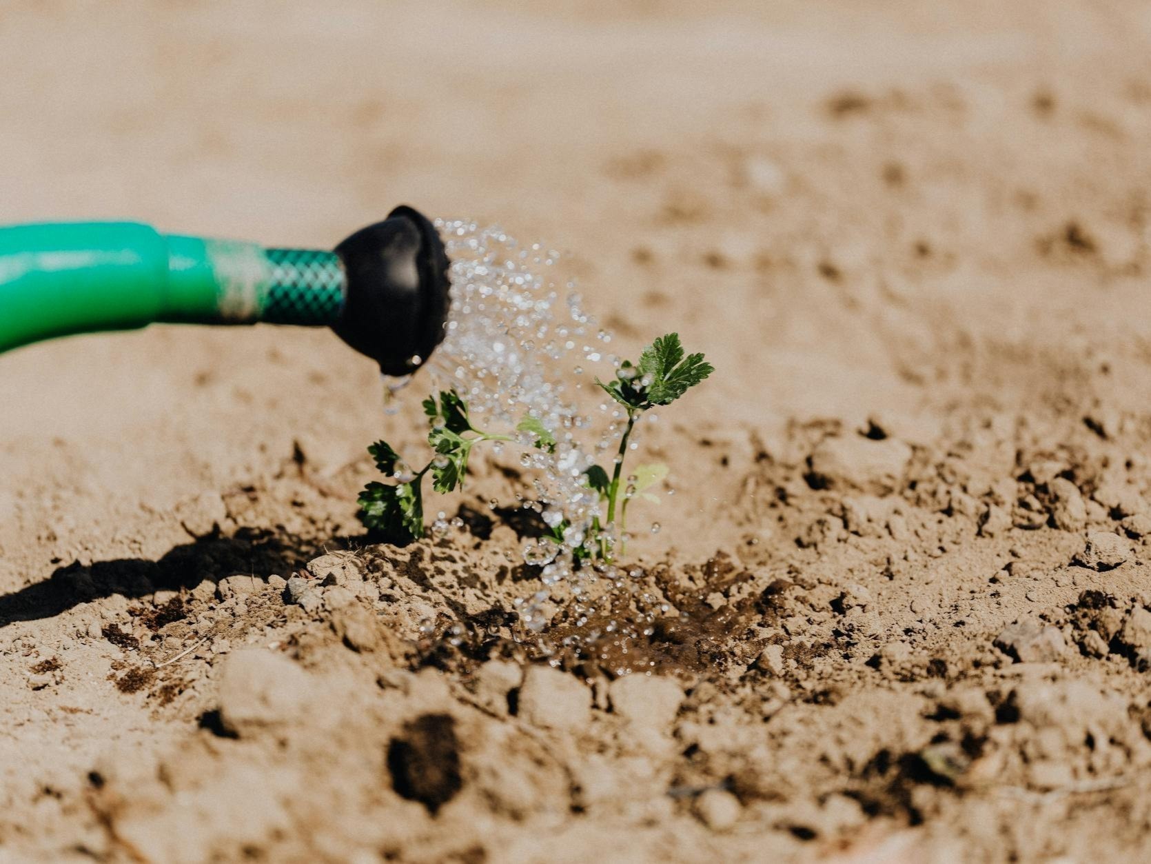 Gestion de l’eau : assouplissement des restrictions
