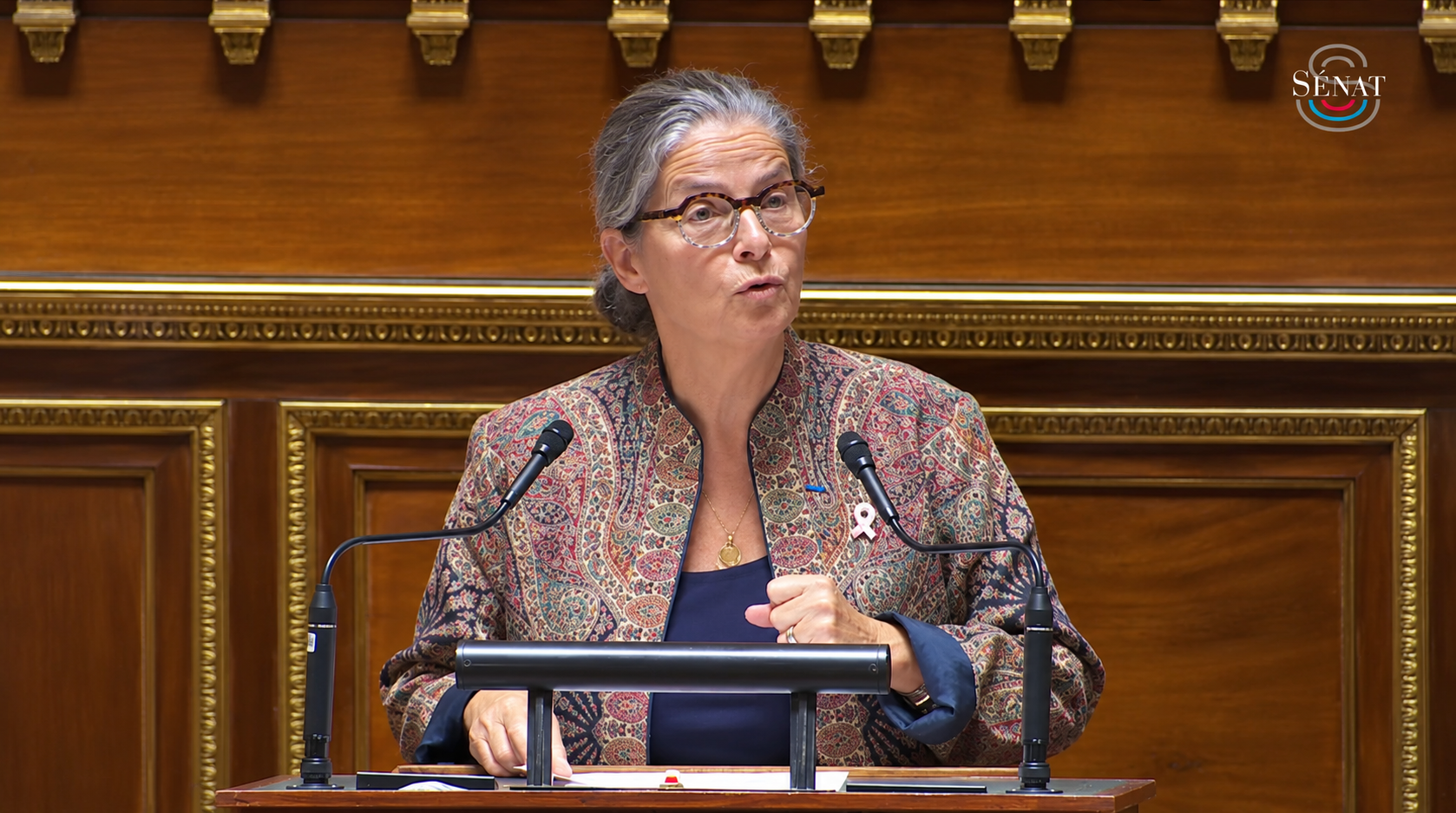 Licence IV&nbsp;: le Sénat vote à l’unanimité, la navette se poursuit